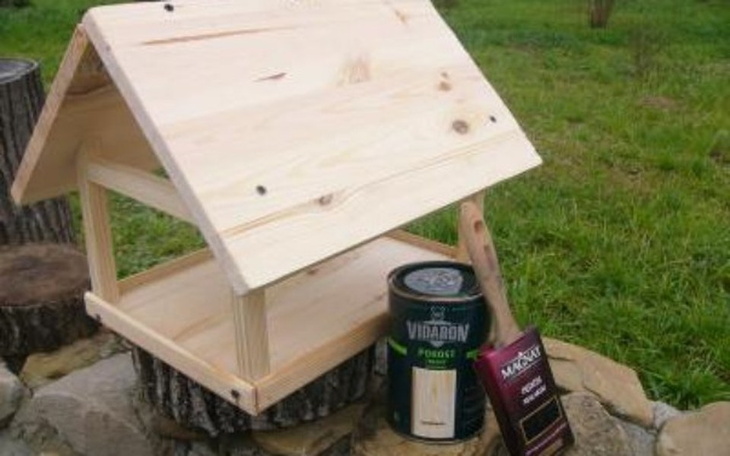 Zbiórka Materiały na domki dla ptaszków - zdjęcie główne