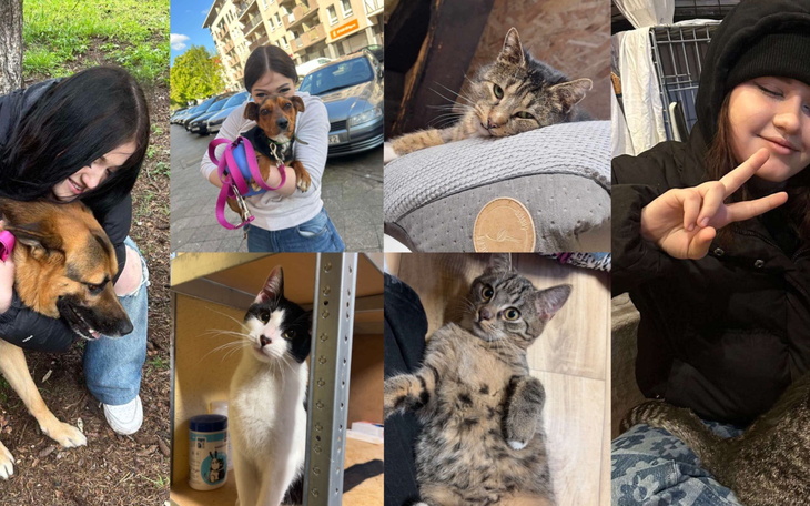 Kolaż zdjęć zwierząt i ludzi, chwile radości.