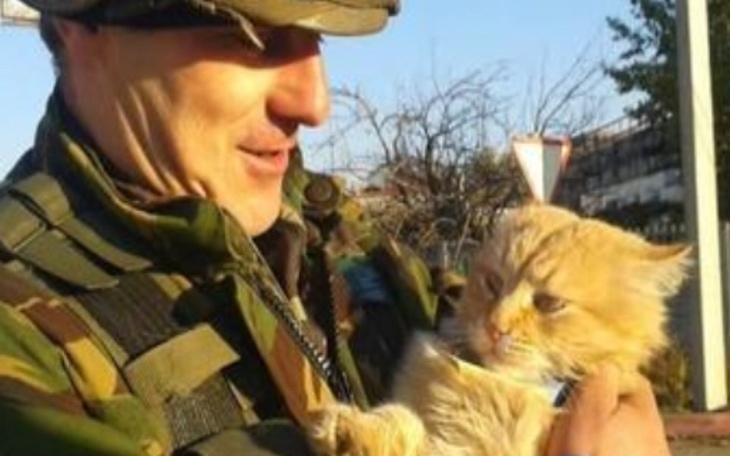 Zbiórka Prywatna armia kotów - zdjęcie główne