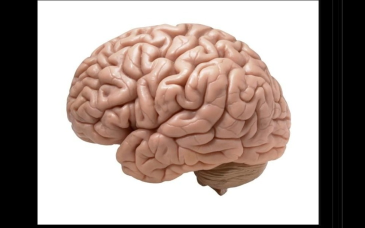 Zbiórka Pomoc w leczeniu psychiatrycznym - zdjęcie główne