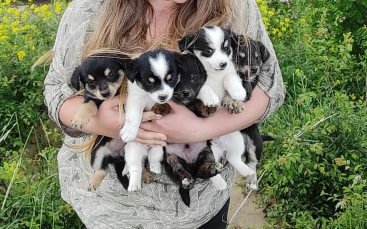 Zbiórka Dzieci z lisiej nory. - zdjęcie główne