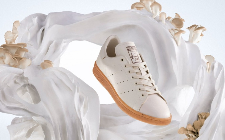 Zbiórka kotek uli - zdjęcie główne