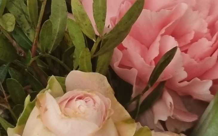 Zbiórka Kwiaty na dzień mamy - zdjęcie główne