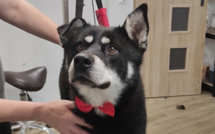 Zbiórka na_hotelik - zdjęcie główne