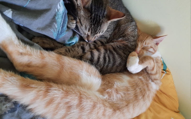 Zbiórka Lepszy start i nowy początek - zdjęcie główne