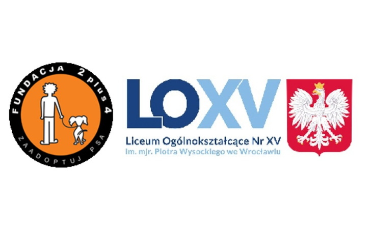 Zbiórka Fundacja 2plus4 - zdjęcie główne