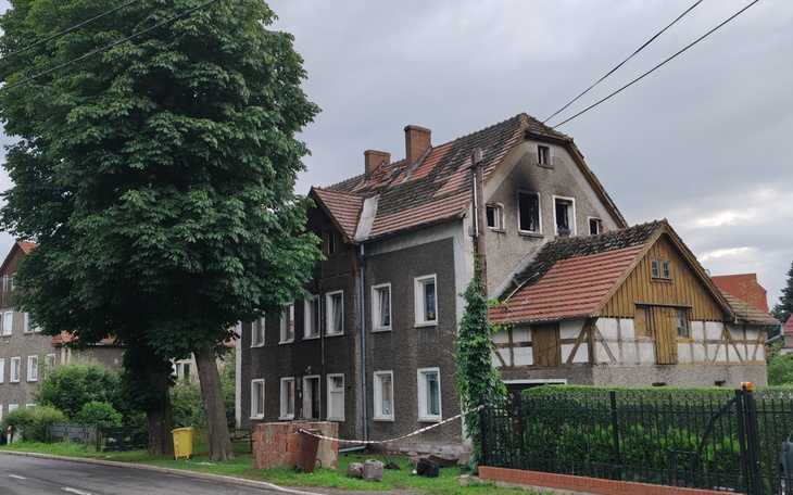 Zabytkowy dom z zielonym drzewem w tle.