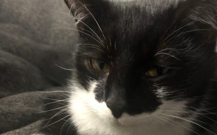 Zbiórka Diego potrzebuje Waszej pomocy. - zdjęcie główne