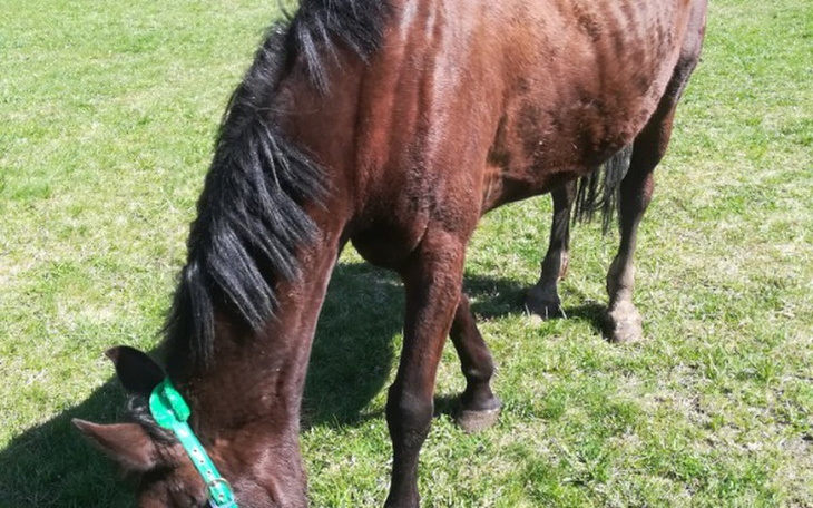 Zbiórka Zbieram pieniądze na badanie - zdjęcie główne