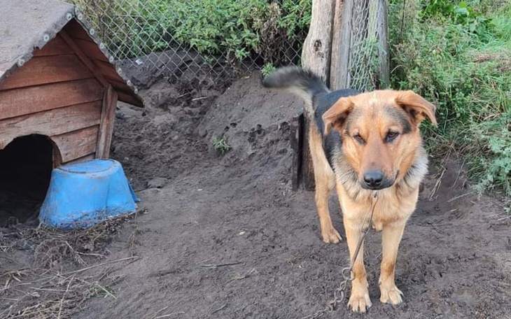 Zbiórka Na kojec dla Maliego - zdjęcie główne