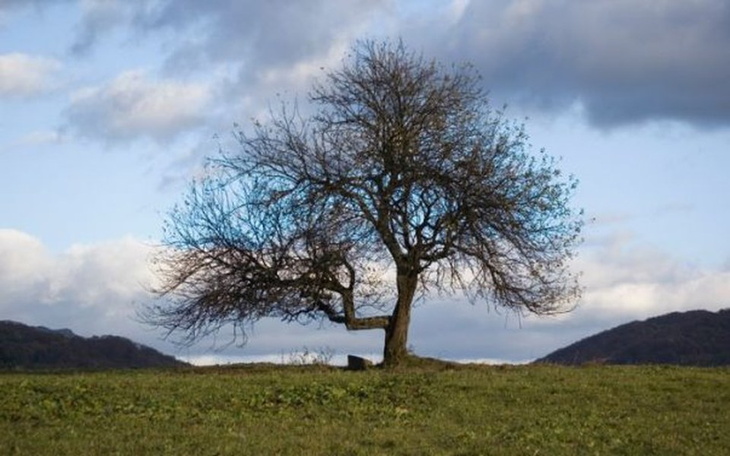 Zbiórka Na spelnienie marzen :D - zdjęcie główne