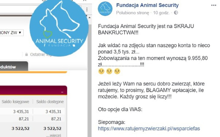 Zbiórka Ratujmy z BANKRUCTWA Fundację - zdjęcie główne