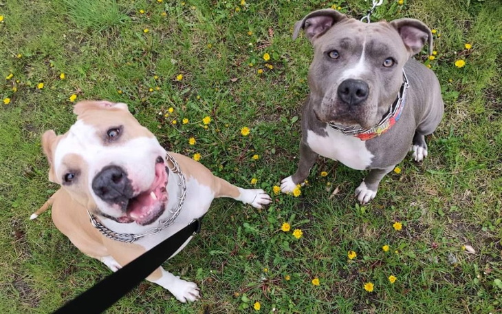 Zbiórka Porzucone jak zbędna rzecz - zdjęcie główne