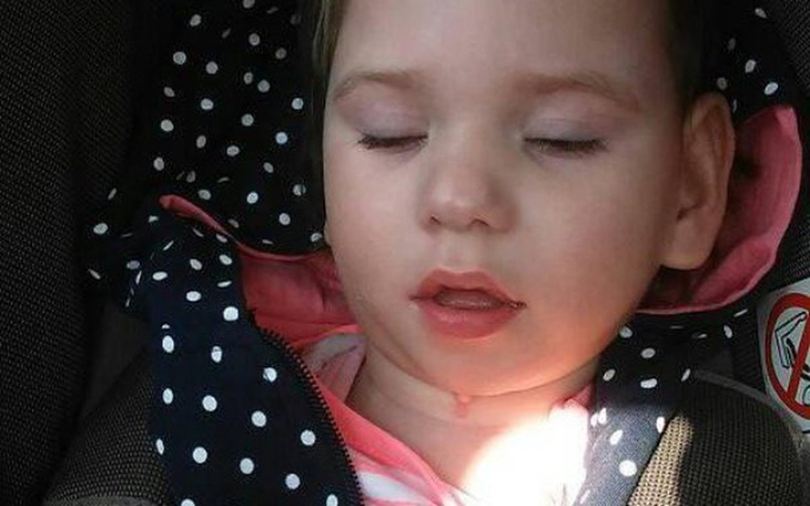 Zbiórka Dla Oliwki Na Rehabilitację - zdjęcie główne