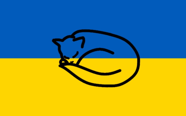 Zbiórka Kojce dla kotów z Ukrainy - zdjęcie główne