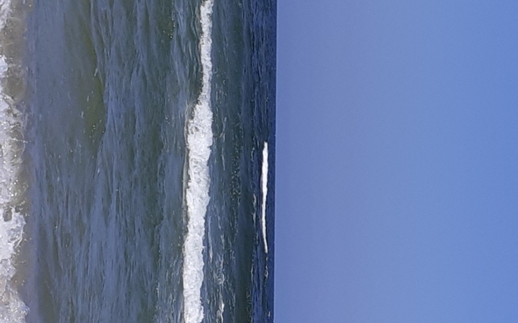 Zbiórka Na moje marzenie, streaming - zdjęcie główne