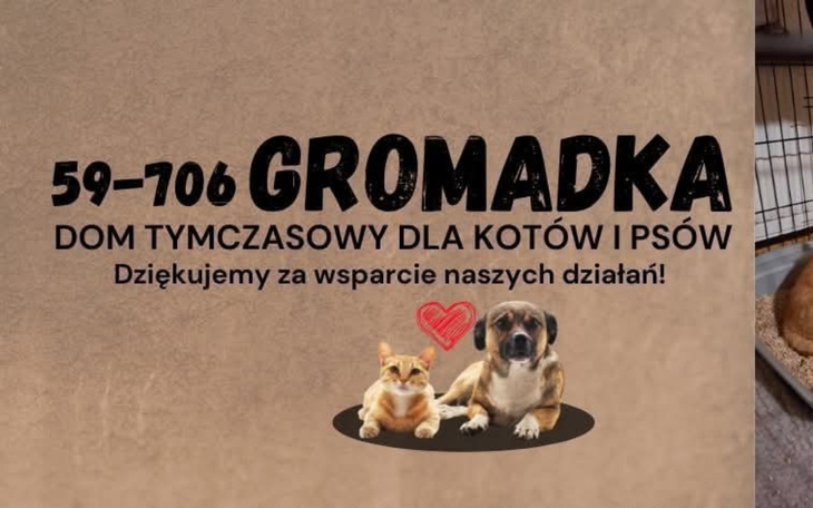 Plakat z informacjami o schronisku dla zwierząt.
