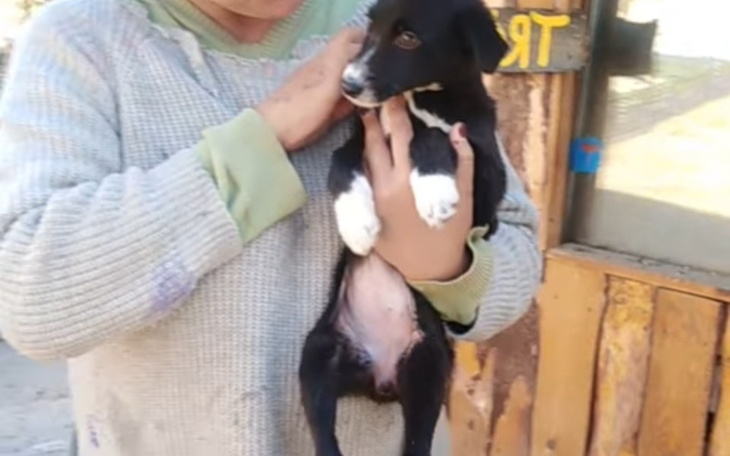 Zbiórka Na ratunek ukraińskiej kalece - zdjęcie główne