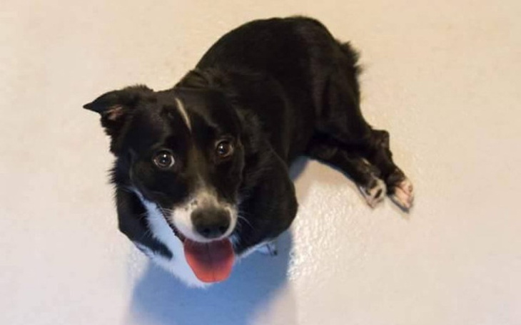 Zbiórka Wózek dla Czarnego. - zdjęcie główne