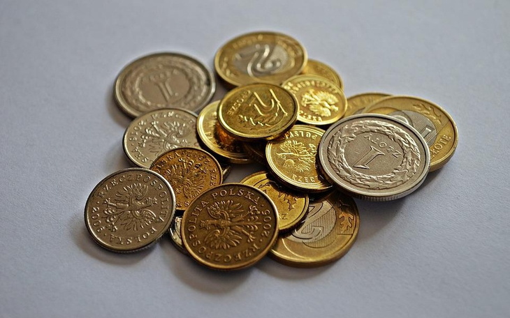 Zbiórka laczmysie - zdjęcie główne