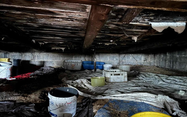 Zbiórka Na nowy dach dla Oliwii - zdjęcie główne