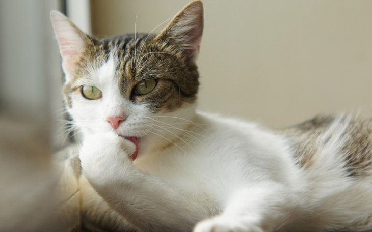 Zbiórka Mruczarnia - wrzesień - zdjęcie główne