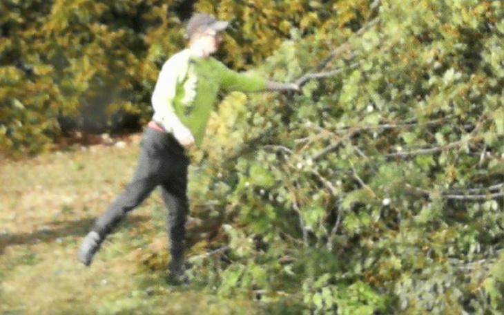 Zbiórka Na babylsa - zdjęcie główne