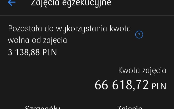 Zbiórka Dług w zusie nie daje mi żyć - zdjęcie główne