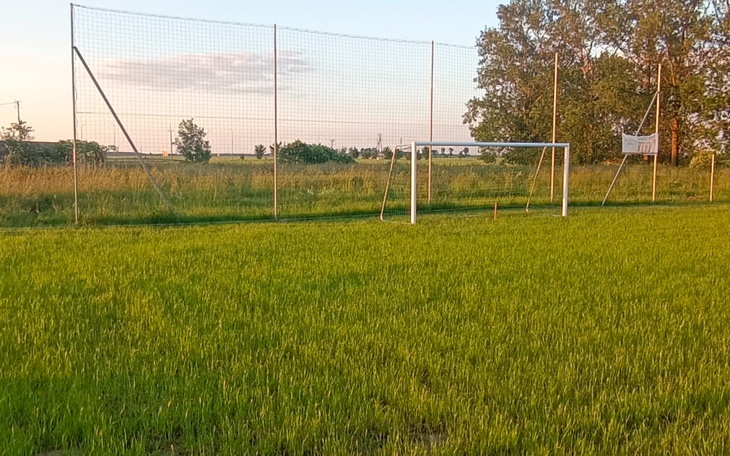 Zbiórka Budowa boiska trawiastego - zdjęcie główne