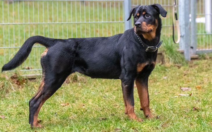 Zbiórka Nowe życie Hiry - zdjęcie główne