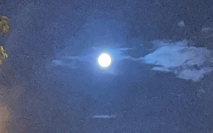 Zbiórka Na jedzenie dla mnie , pomóżcie - zdjęcie główne