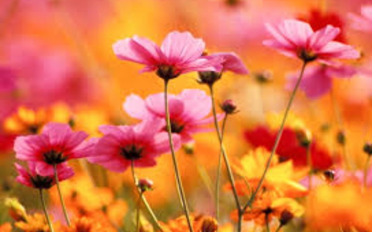 Zbiórka Na leki... - zdjęcie główne