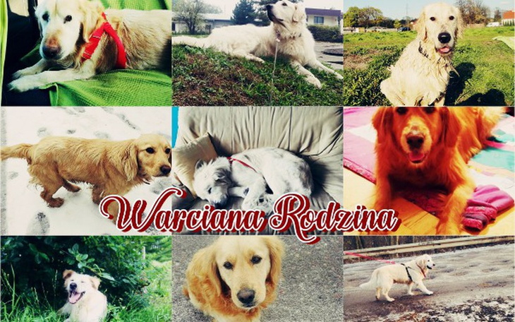 Zbiórka Daj Piątaka na Warciaka - zdjęcie główne