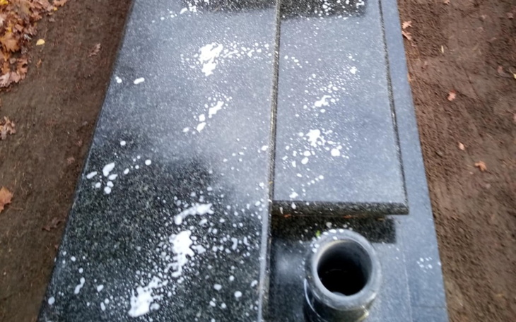 Nagrobek pokryty białymi plamami, w otoczeniu liści.