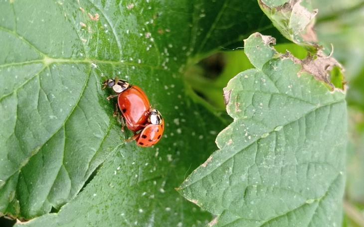 Zbiórka nicnikt - zdjęcie główne