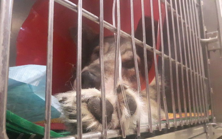 Zbiórka Życie Żuka - zdjęcie główne