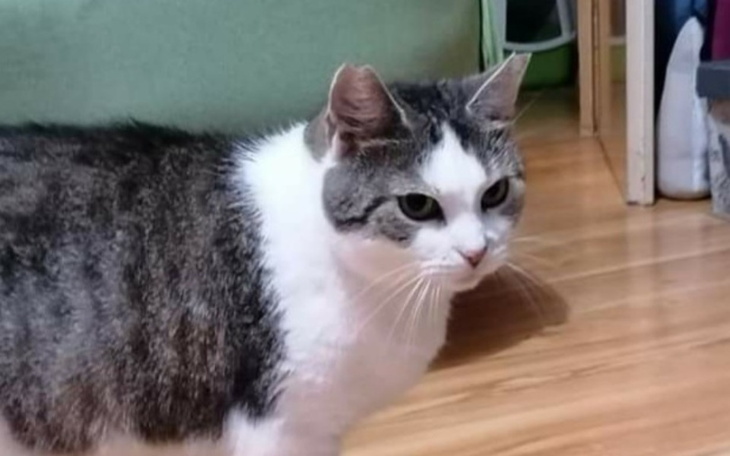 Zbiórka Urodziny Marzeny - zdjęcie główne