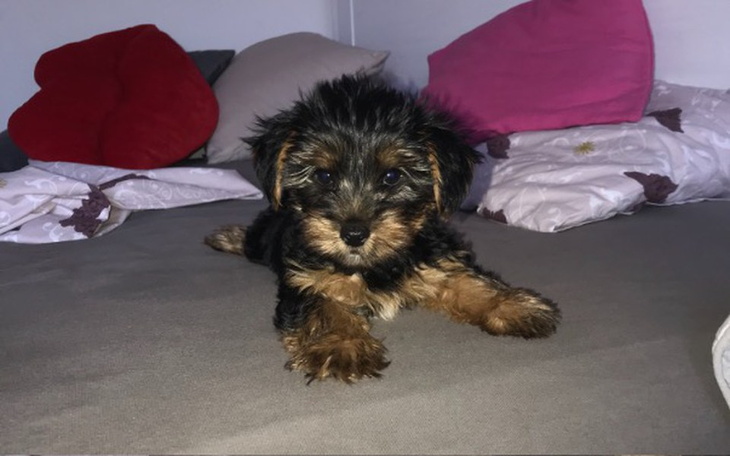 Zbiórka Zespół wrotno czcze - zdjęcie główne