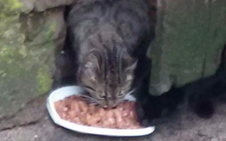 Zbiórka Zapomniane przez ludzi - zdjęcie główne