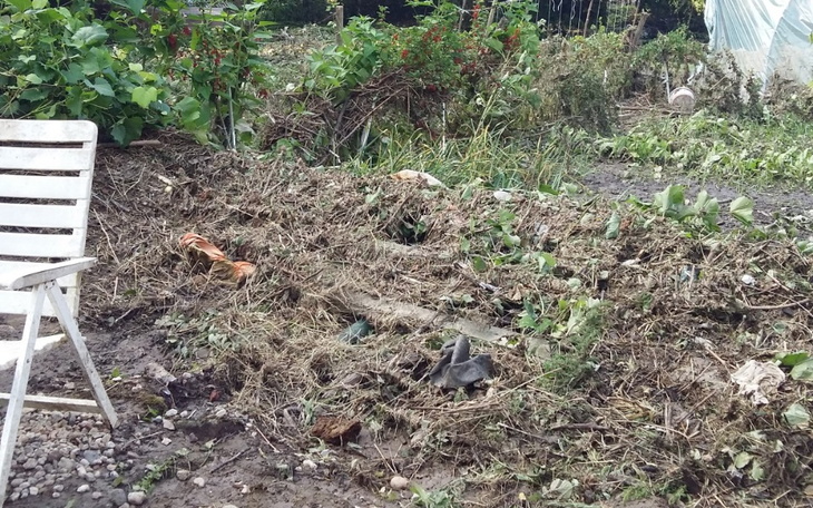 Zbiórka Skutki powodzi w Pławnej Górnej - zdjęcie główne