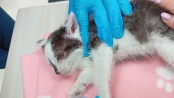 Zbiórka Wyrzucony w Człuchowie - miniaturka zdjęcia