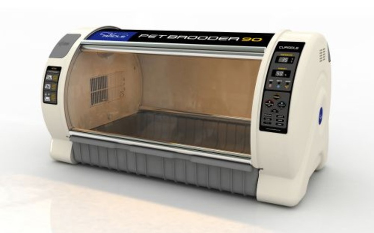 Zbiórka Inkubator dla kociaków - zdjęcie główne