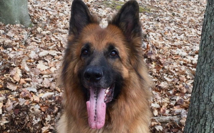 Zbiórka Na operację Denara - zdjęcie główne