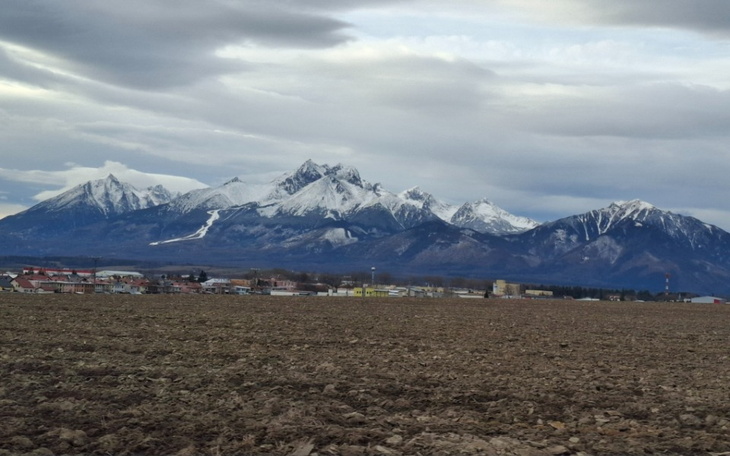Widok na góry pokryte śniegiem, z pola uprawnego.