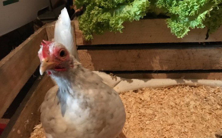 Zbiórka Nasza oaza - zdjęcie główne