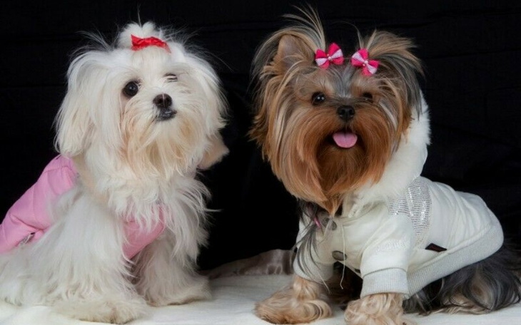 Zbiórka Na komputer do szkoły - zdjęcie główne