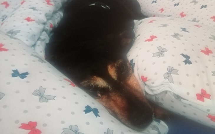 Zbiórka Pomoc na zaległe oplaty - zdjęcie główne