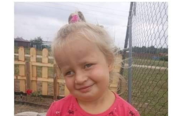 Uśmiechnięta dziewczynka w różowej bluzce na tle ogrodzenia.