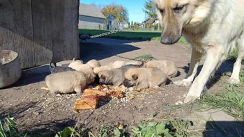 Zbiórka Polska rzeczywistość. Podlasie. - miniaturka zdjęcia