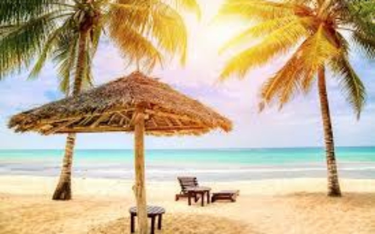 Zbiórka Wymarzone wakacje.. - zdjęcie główne